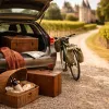 Organiser une visite des châteaux de la Loire depuis Bordeaux : itinéraires raffinés et art de vivre