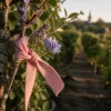 Rando à Tresses : itinéraires confidentiels aux portes de Bordeaux
