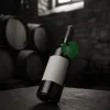Voyage œnologique d’exception aux caves de Rauzan, au cœur de l’Entre‑deux‑Mers