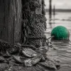 Vivre la marée haute à Andernos les Bains : art de voyager au rythme du Bassin d’Arcachon