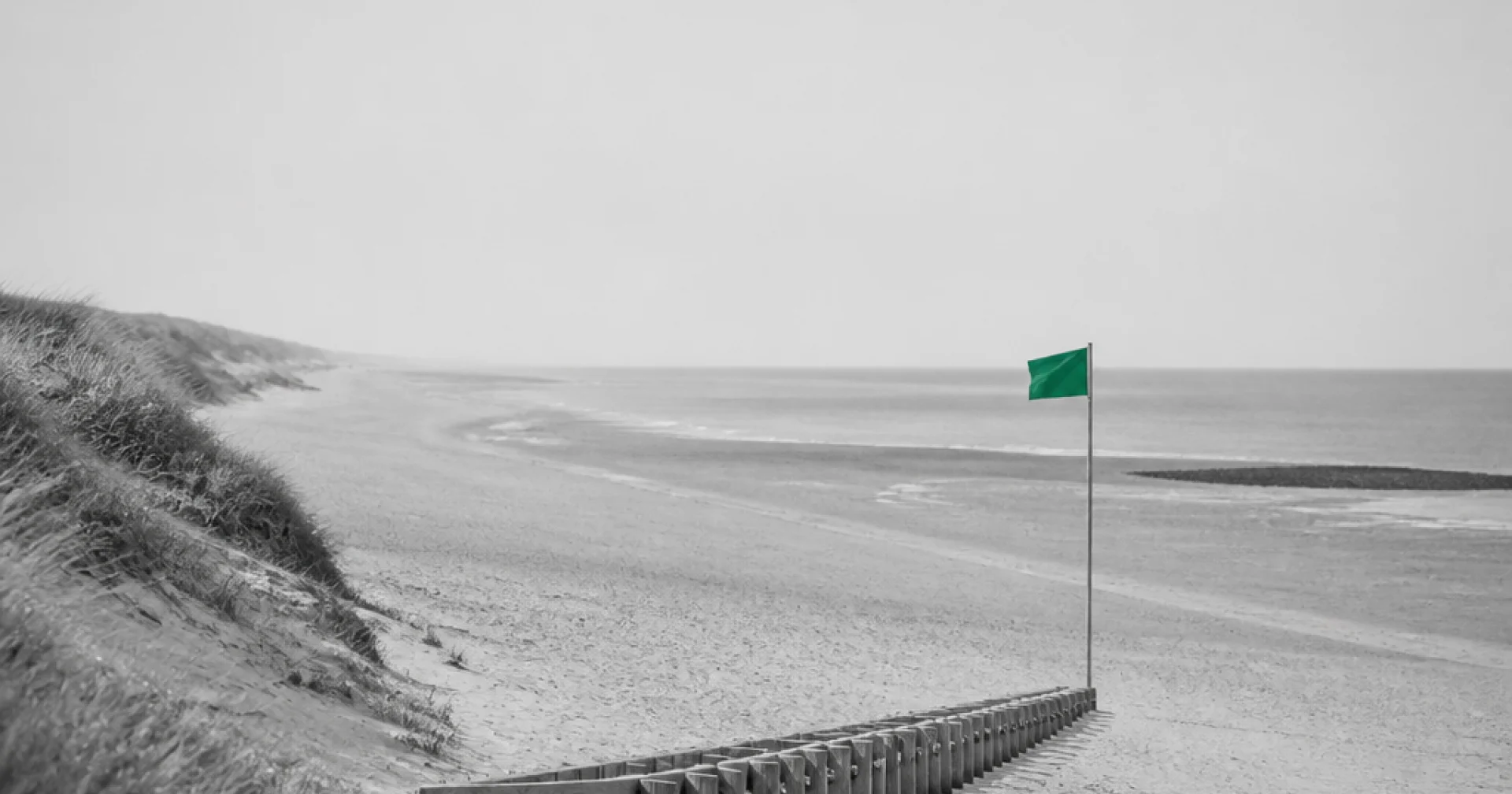 Côte d'Argent en pleine saison : les plages, les courants, les heures que les locaux choisissent
