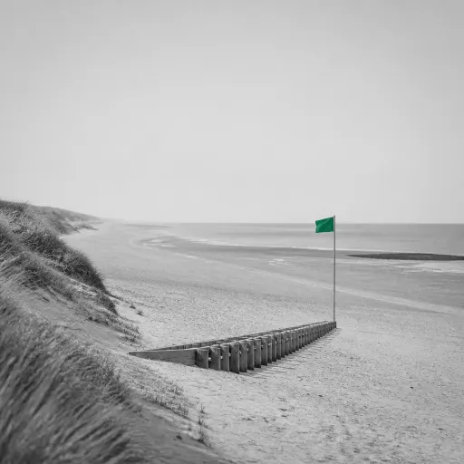 Côte d'Argent en pleine saison : les plages, les courants, les heures que les locaux choisissent